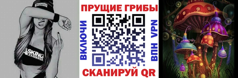Купить закладки  Сим  Псилоцибиновые грибы мицелий 